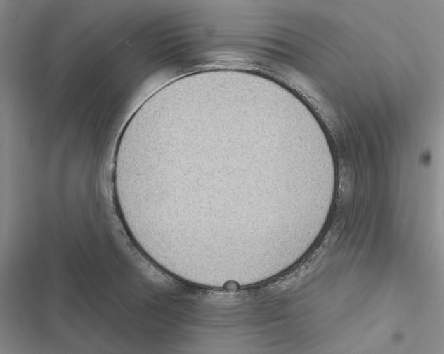 X0000116811378201001151135