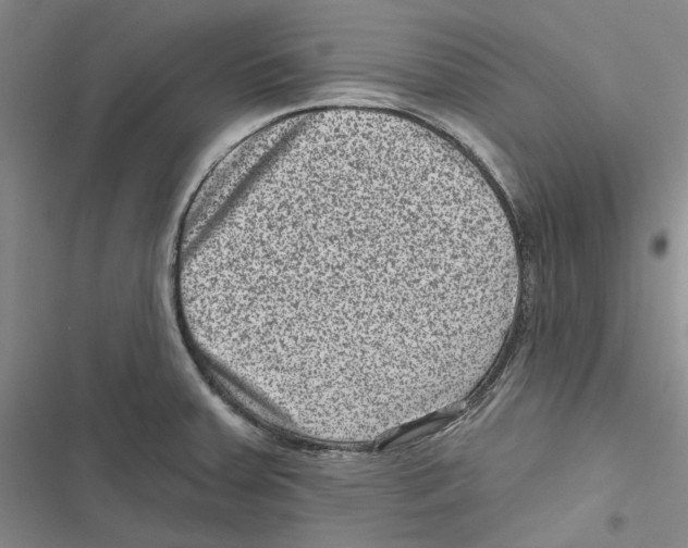 X0000116811379201001151135