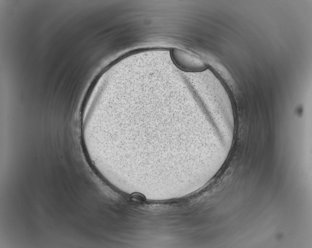 X0000116811380201001151135