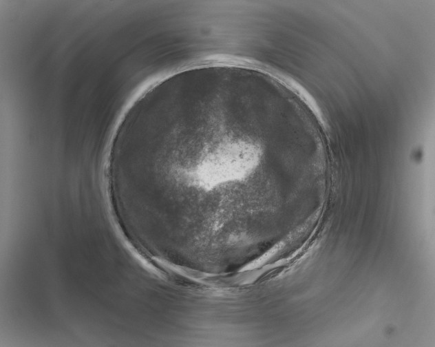 X0000116811381201001151135