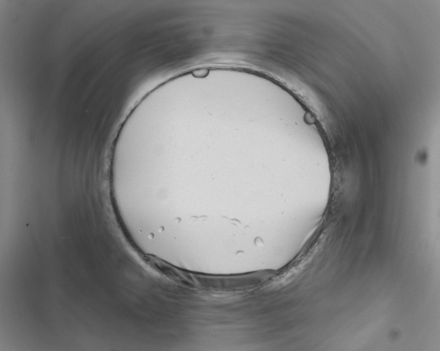 X0000116811382201001151135