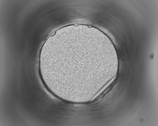 X0000116811383201001151135