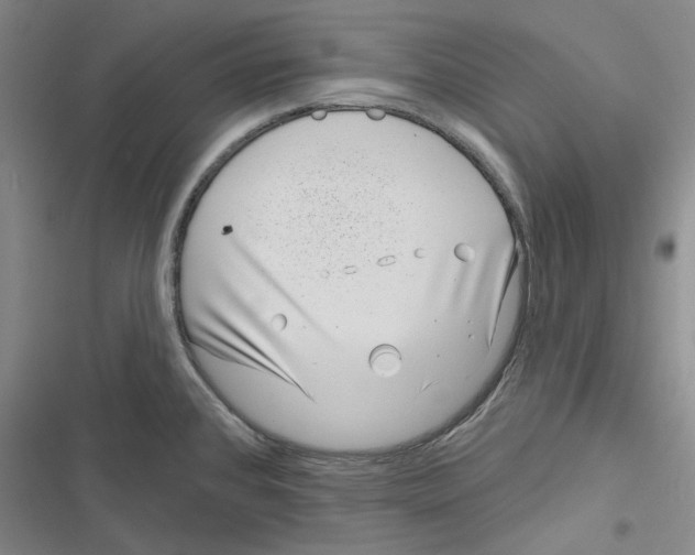 X0000116811384201001151135