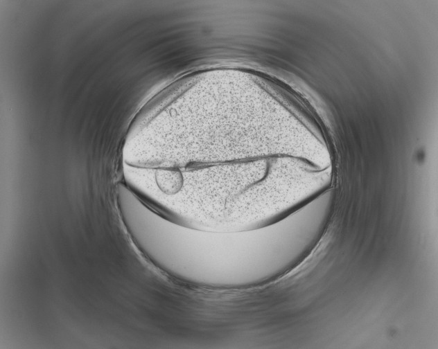 X0000116811385201001151135