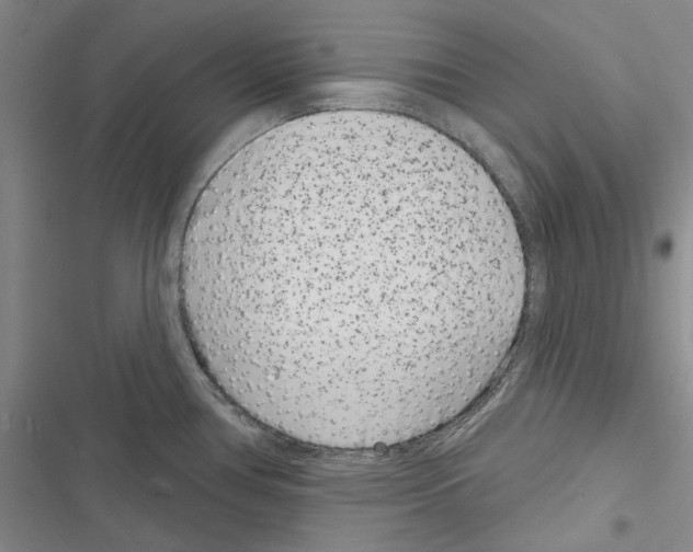 X0000116811386201001151134