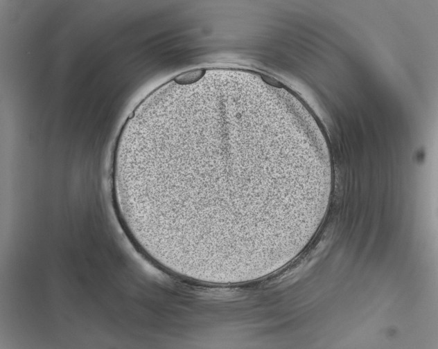 X0000116811387201001151134