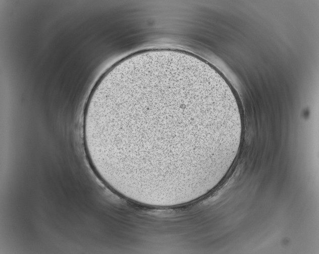 X0000116811388201001151134