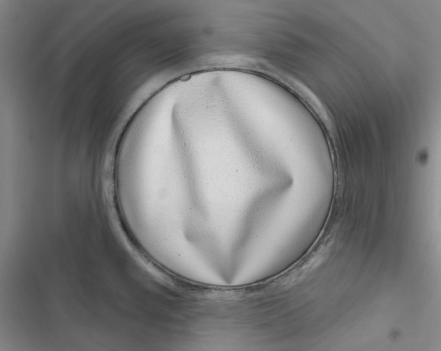 X0000116811389201001151134