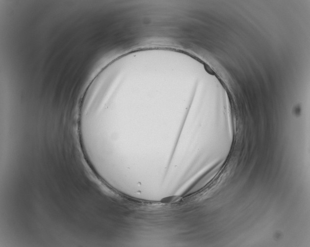 X0000116811390201001151134