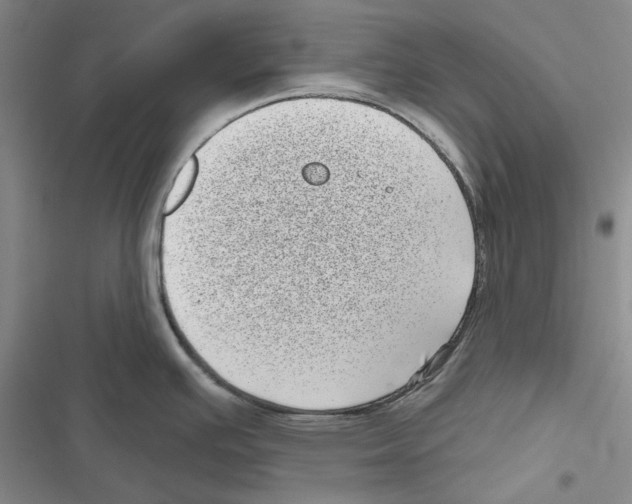 X0000116811391201001151134