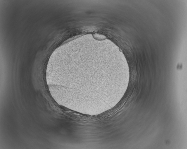X0000116811393201001151134