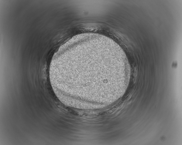X0000116811394201001151134