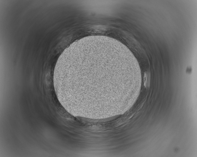 X0000116811395201001151134