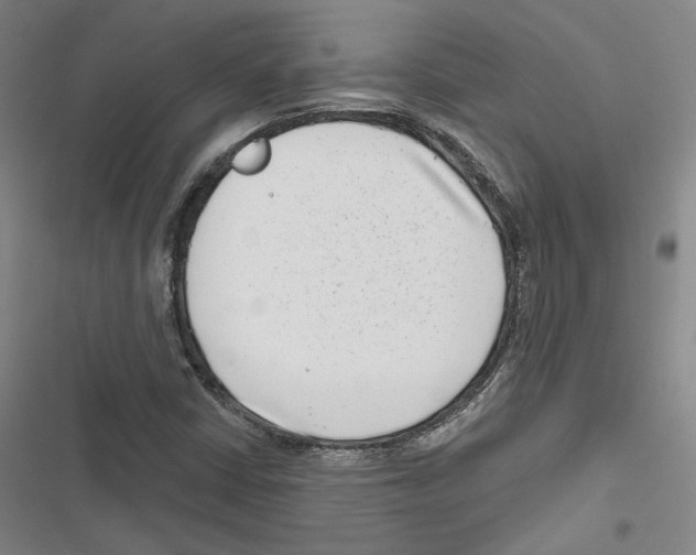 X0000116811402201001151134