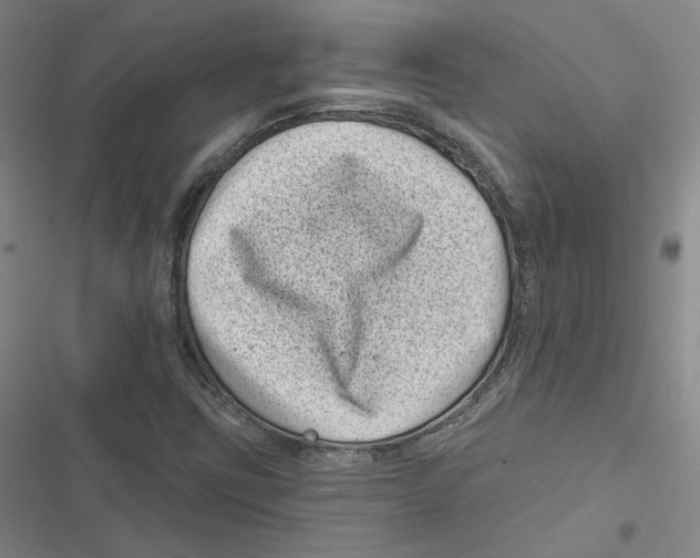 X0000116811403201001151134