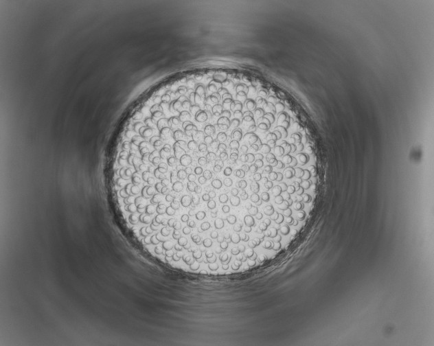 X0000116811404201001151134