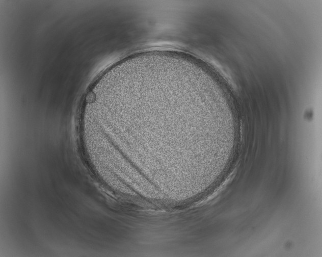 X0000116811405201001151134