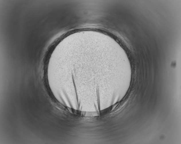 X0000116811406201001151134