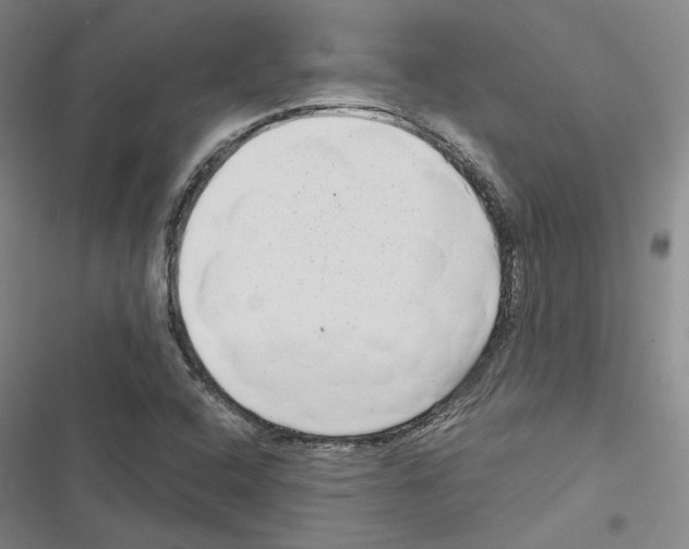 X0000116811408201001151134