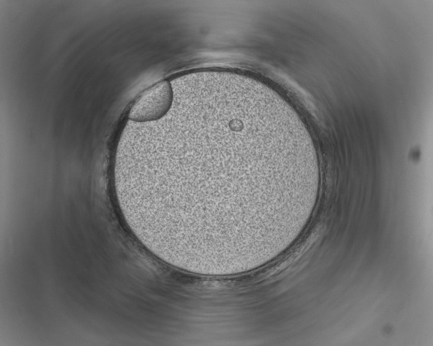X0000116811411201001151134