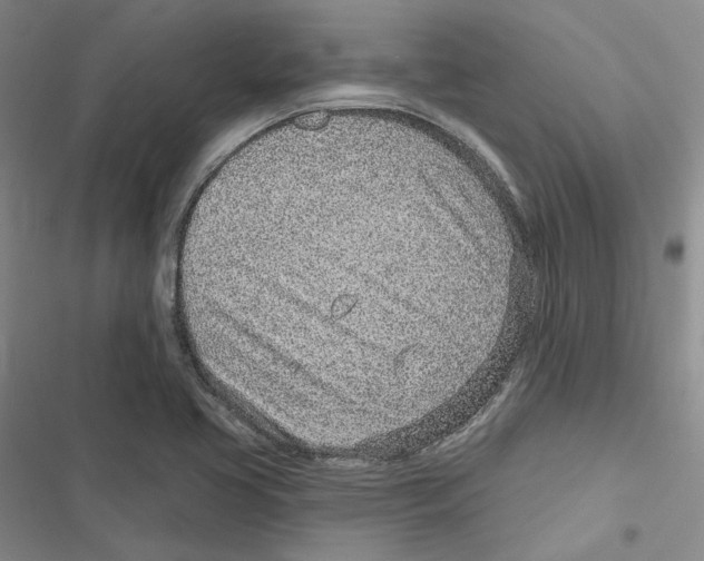 X0000116811413201001151134