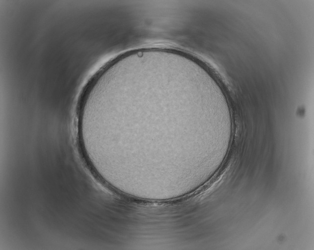 X0000116811414201001151134