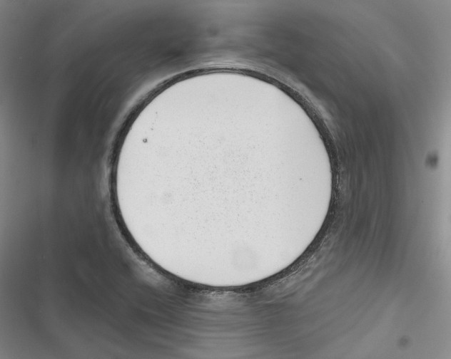 X0000116811416201001151134