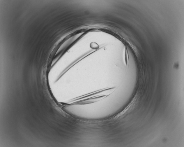 X0000116811417201001151134