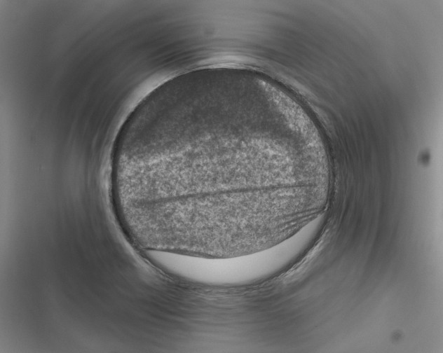 X0000116811418201001151134