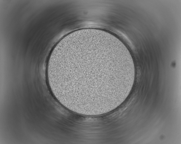 X0000116811419201001151134