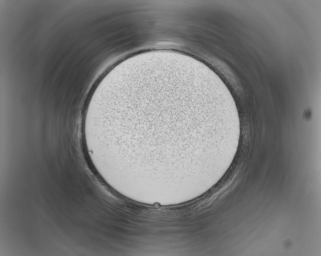 X0000116811420201001151134