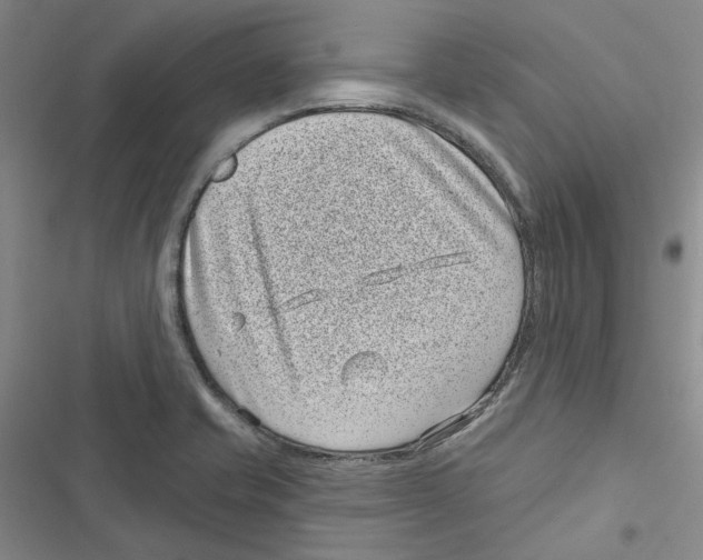X0000116811421201001151134