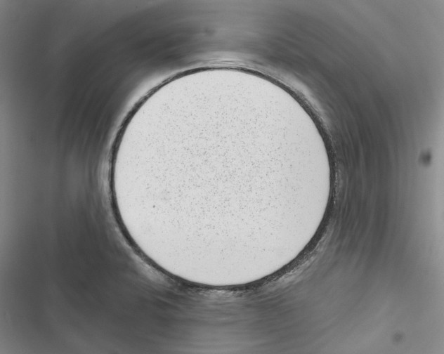 X0000116811424201001151134
