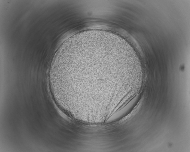 X0000116811425201001151134