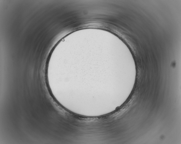 X0000116811426201001151134