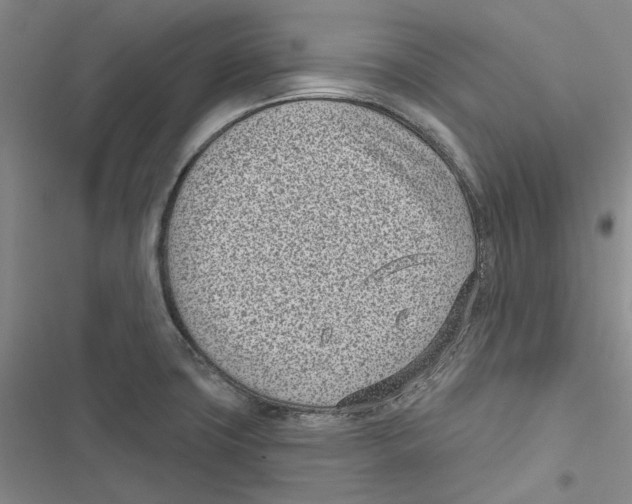 X0000116811427201001151134