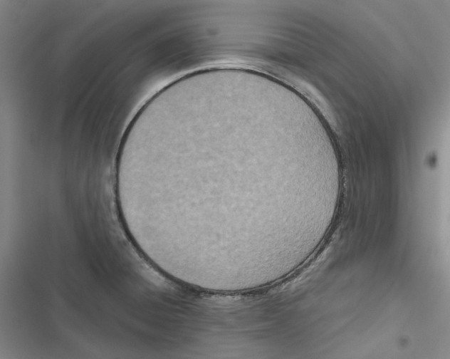 X0000116811428201001151134