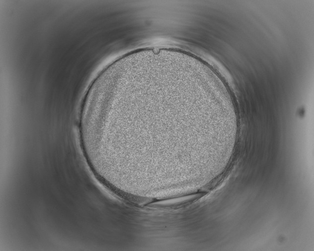 X0000116811429201001151134