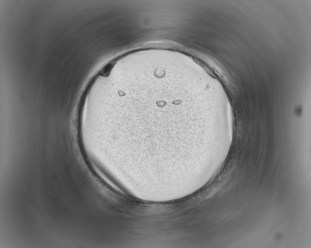 X0000116811430201001151134