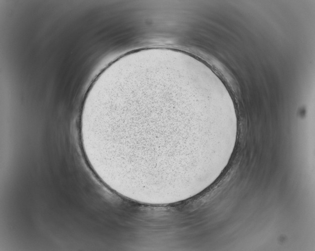 X0000116811432201001151134