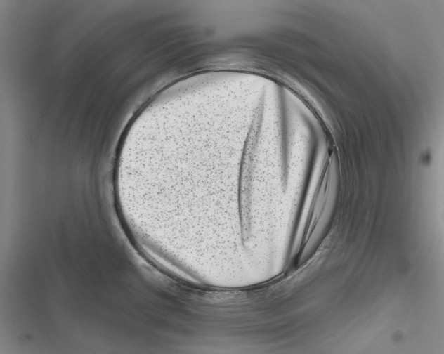 X0000116811434201001151134