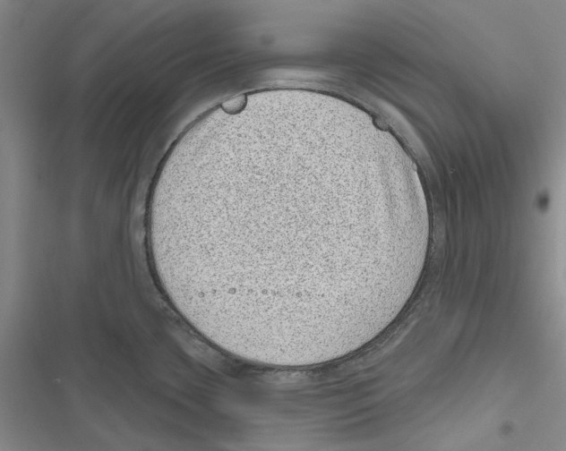 X0000116811435201001151134
