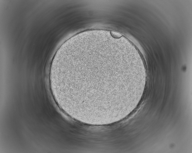 X0000116811437201001151134