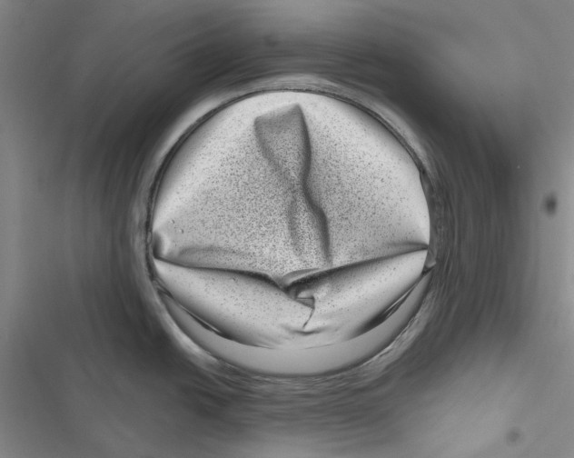 X0000116811438201001151134