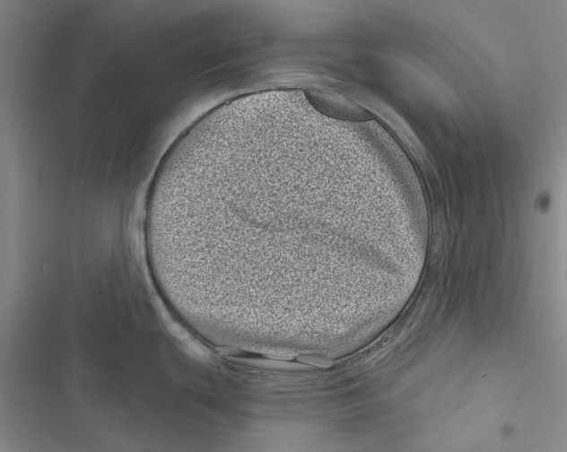 X0000116811439201001151134