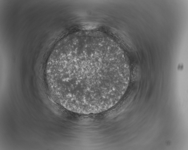 X0000116811441201001151134