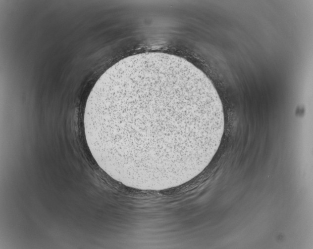 X0000116811442201001151134