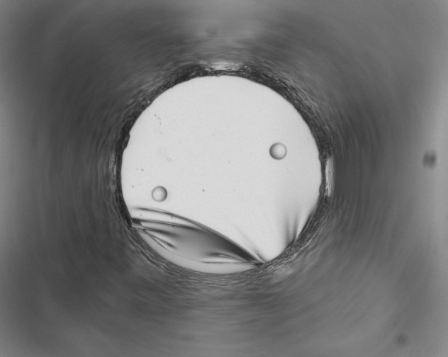 X0000116811443201001151134