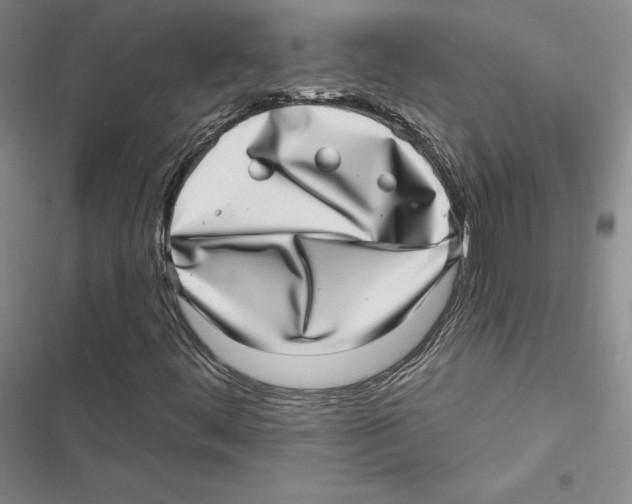 X0000116811444201001151134