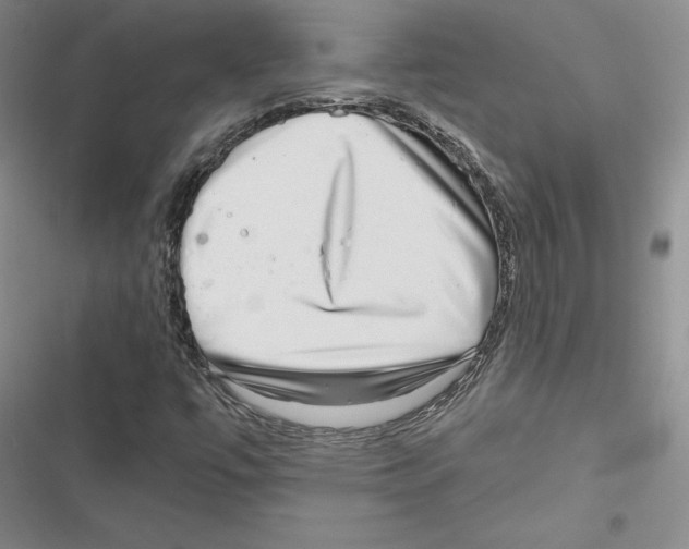 X0000116811447201001151134